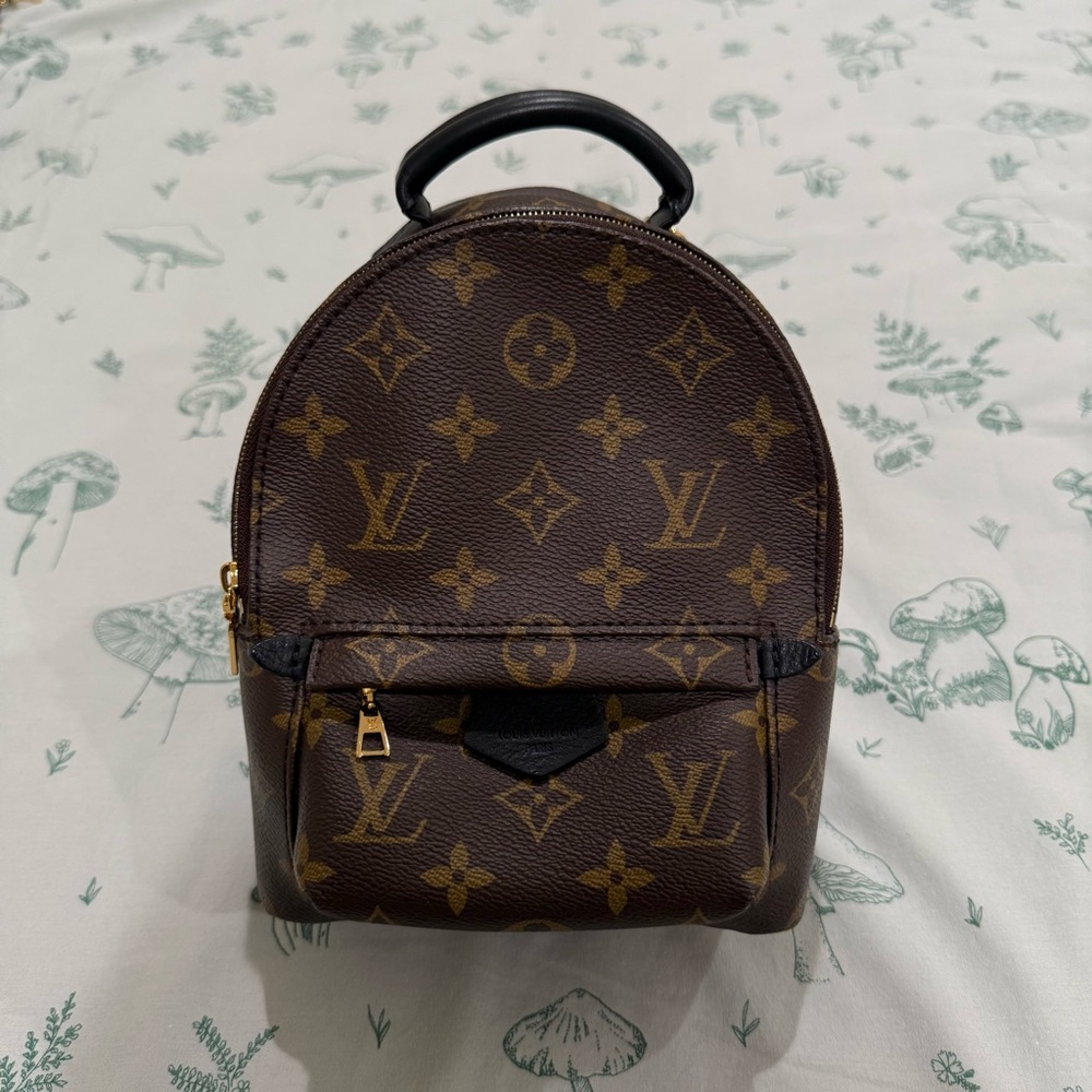 Louis Vuitton Palm Springs Mini